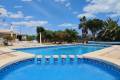 Venta - Country House - Los Montesinos - Los Montesinos Centro