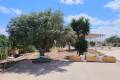 Venta - Country House - Los Montesinos - Los Montesinos Centro