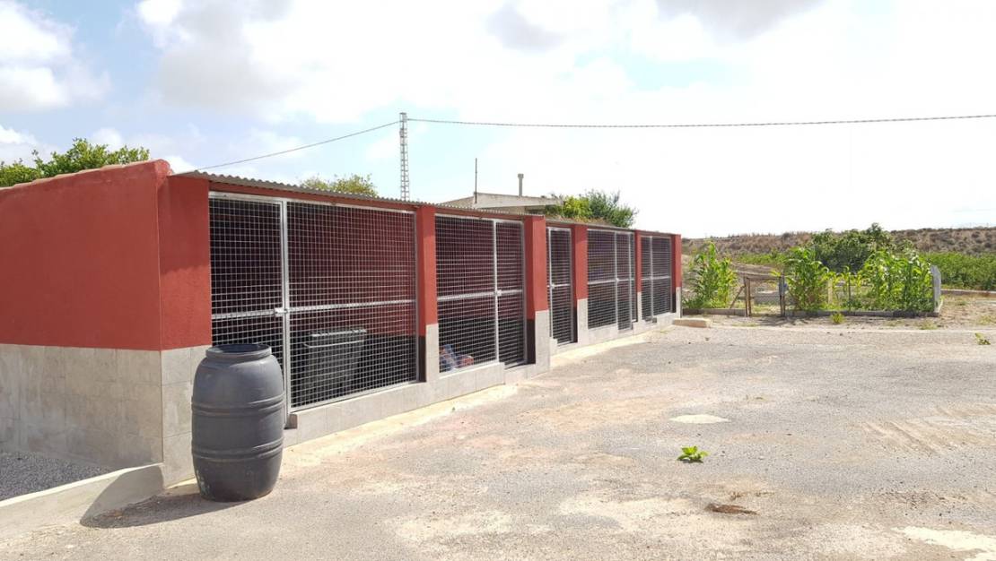 Venta - Country House - Los Montesinos - Los Montesinos Centro