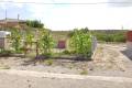 Venta - Country House - Los Montesinos - Los Montesinos Centro