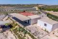 Venta - Country House - Los Montesinos - Los Montesinos Centro