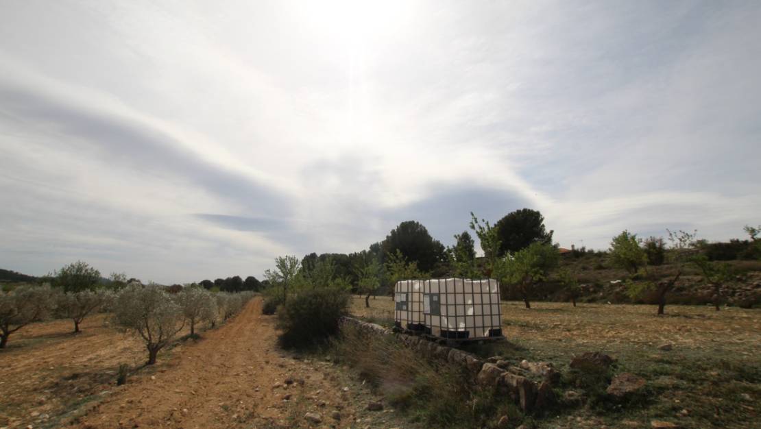Venta - Country House - Monóvar - Monòver - Monóvar - Monòver Centro