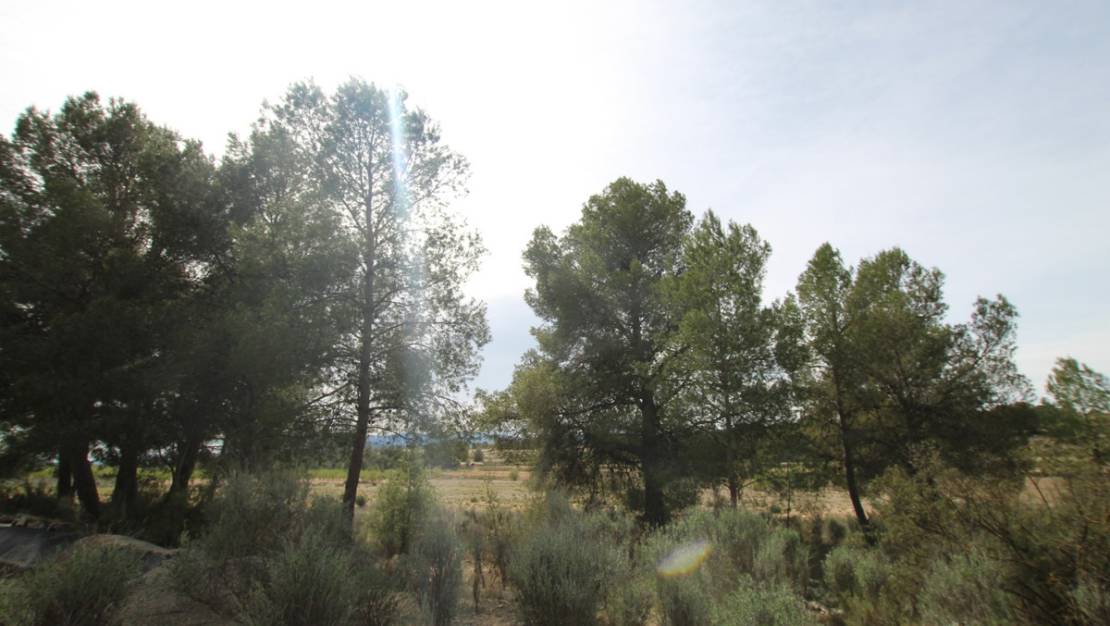 Venta - Country House - Monóvar - Monòver - Monóvar - Monòver Centro