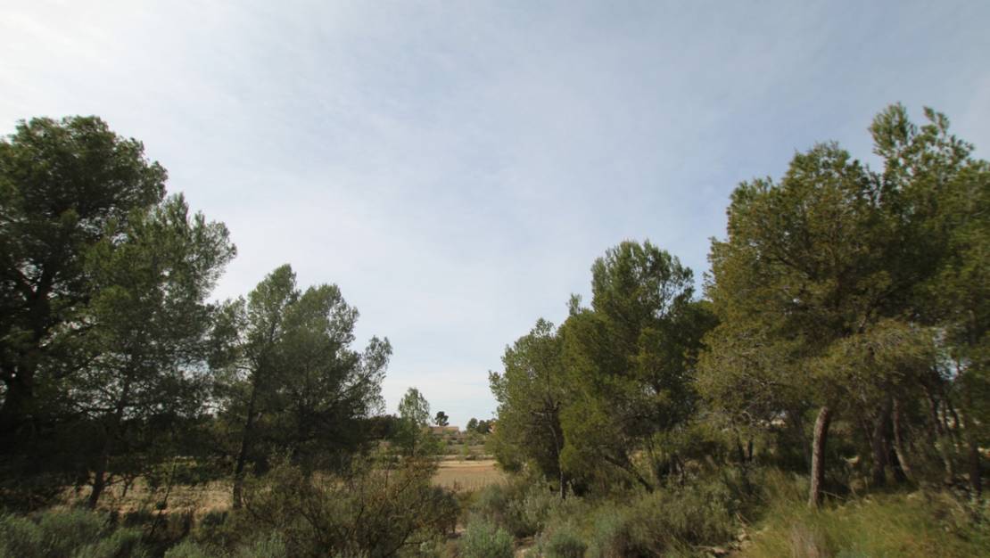 Venta - Country House - Monóvar - Monòver - Monóvar - Monòver Centro