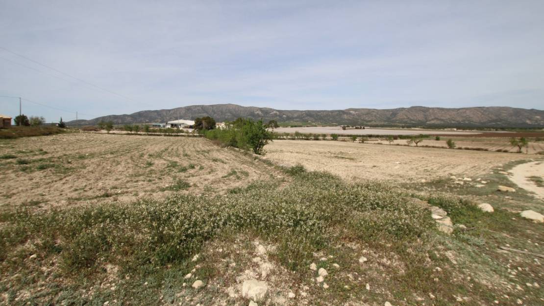 Venta - Country House - Monóvar - Monòver - Monóvar - Monòver Centro