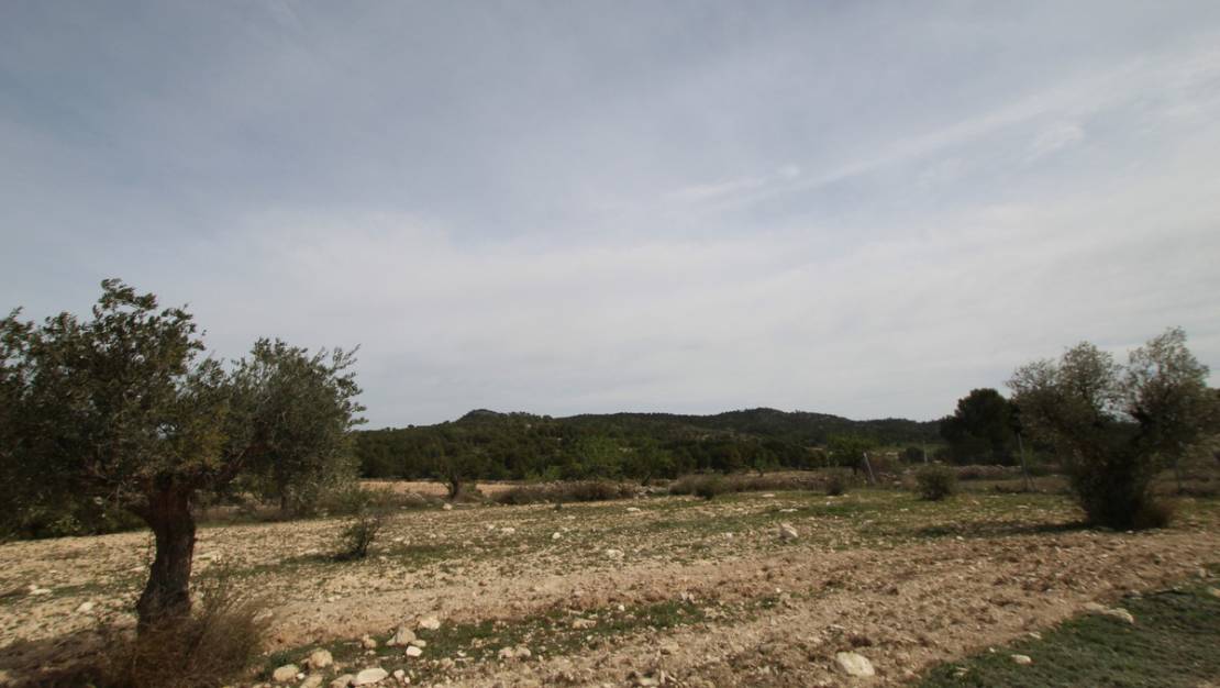 Venta - Country House - Monóvar - Monòver - Monóvar - Monòver Centro