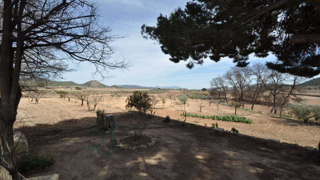 Venta - Country House - Monóvar - Monòver - Monóvar - Monòver Centro