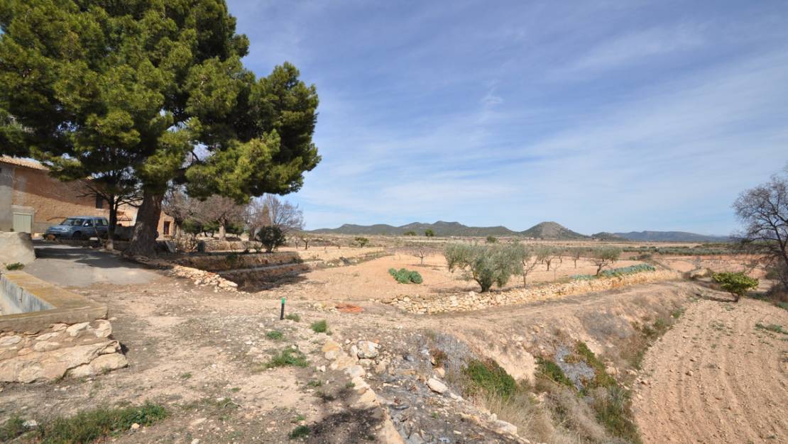 Venta - Country House - Monóvar - Monòver - Monóvar - Monòver Centro