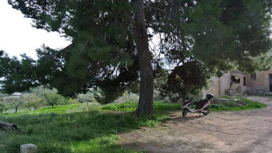 Venta - Country House - Monóvar - Monòver - Monóvar - Monòver Centro