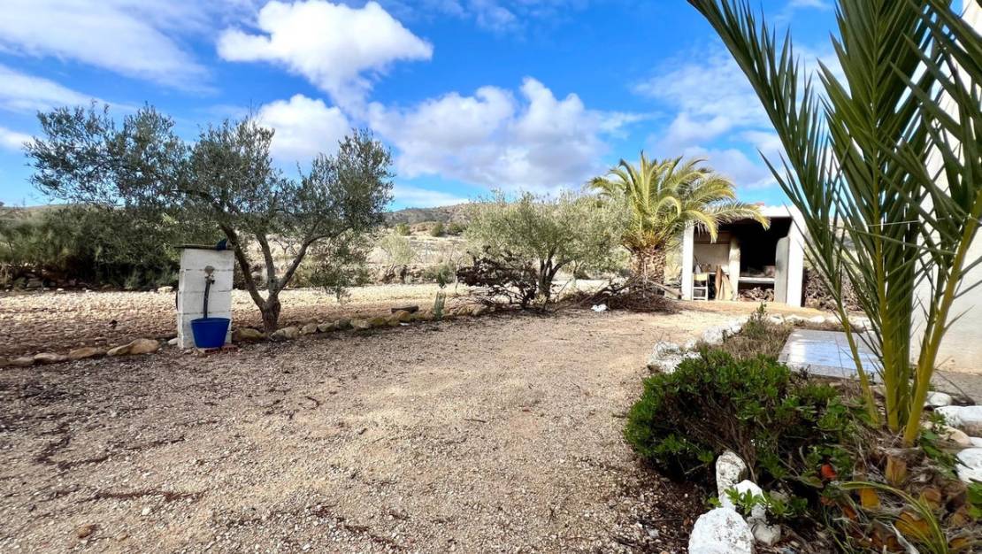 Venta - Country House - Monóvar - Monòver - Monóvar - Monòver Centro