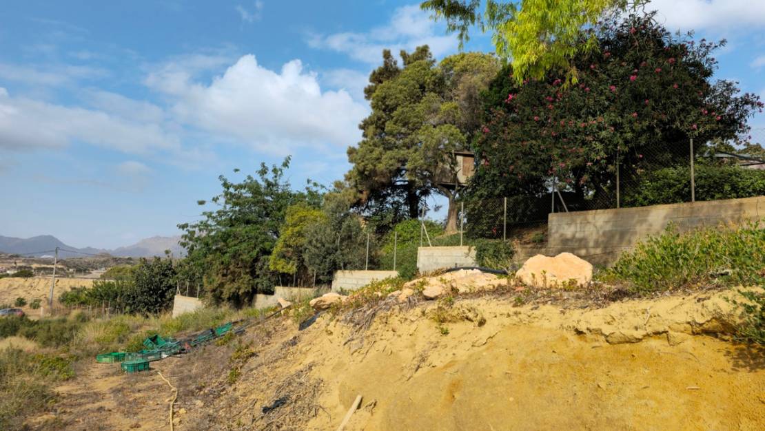 Venta - Country House - Murcia - El Cocon