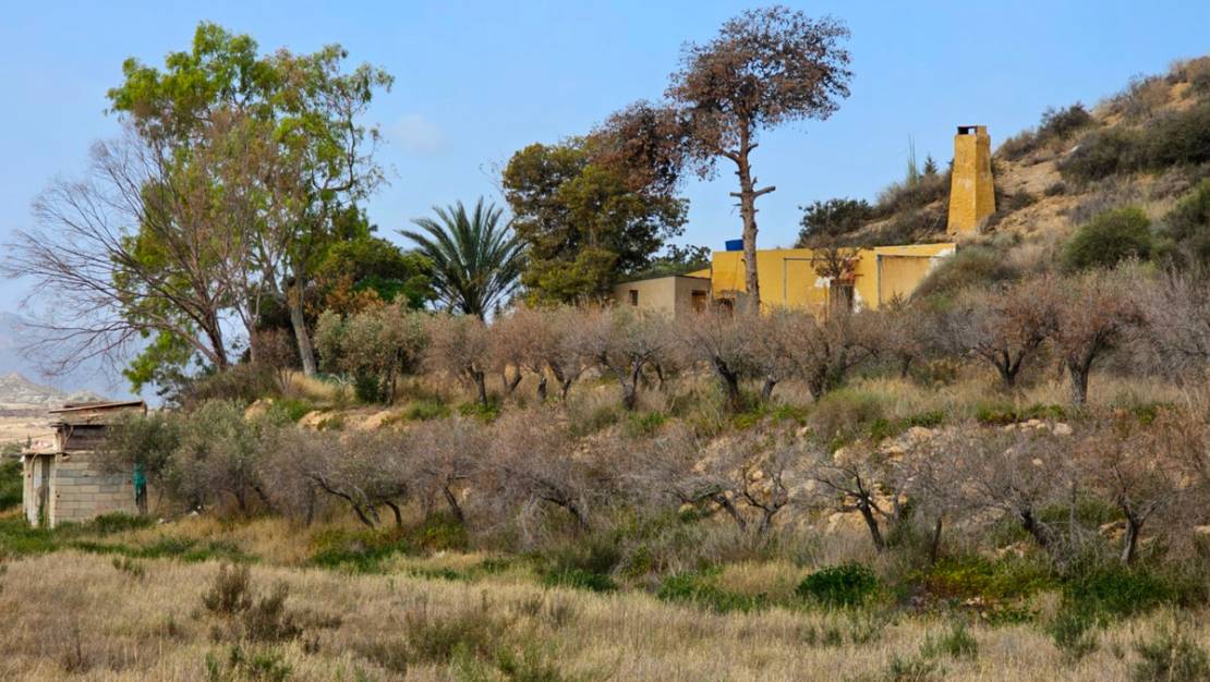 Venta - Country House - Murcia - El Cocon