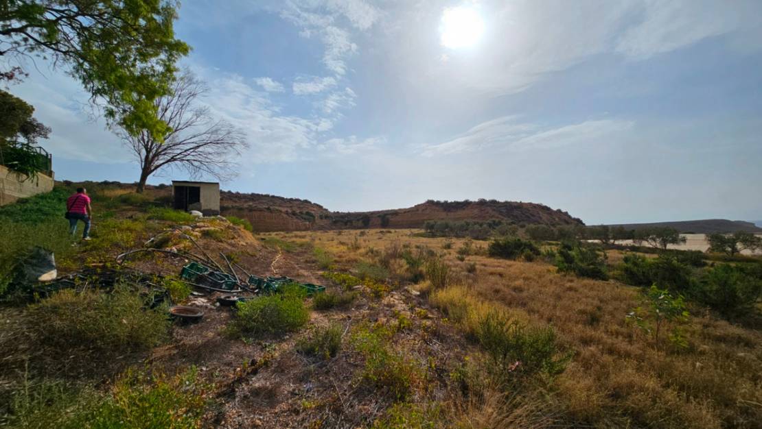 Venta - Country House - Murcia - El Cocon