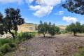 Venta - Country House - Muro de Alcoy - Muro de Alcoy Centro