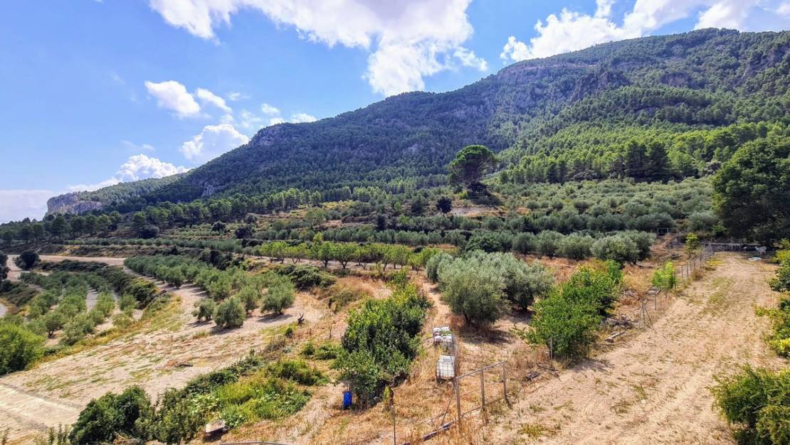 Venta - Country House - Muro de Alcoy - Muro de Alcoy Centro