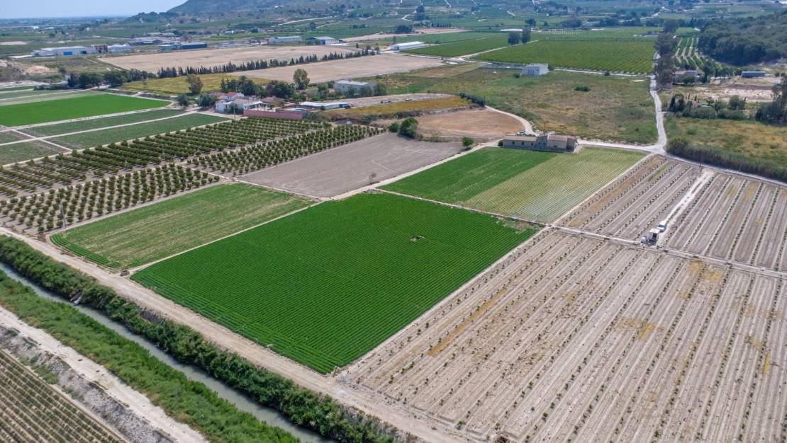 Venta - Country House - Orihuela - Desamparados-Hurchillo-Torremendo