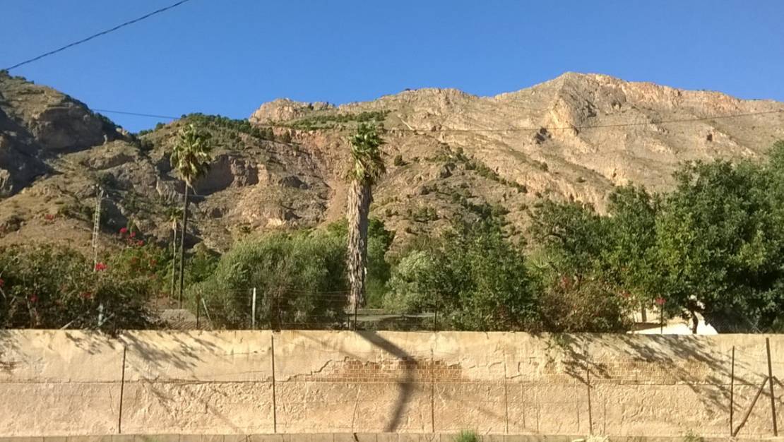 Venta - Country House - Orihuela - Orihuela Centro