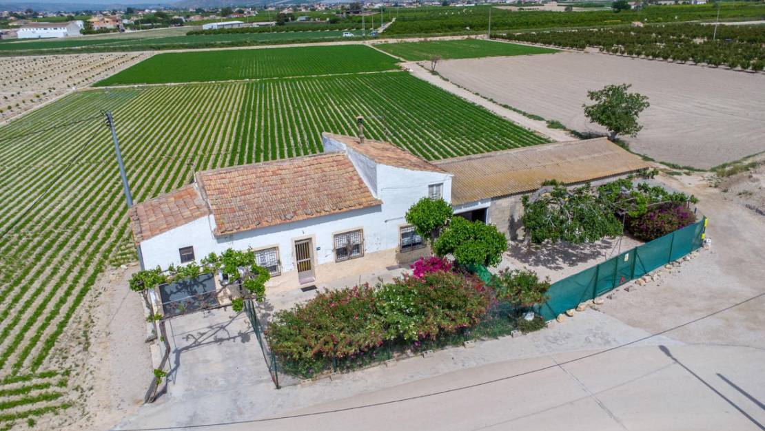 Venta - Country House - Orihuela - Orihuela Centro