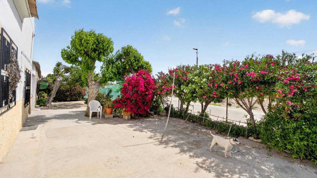 Venta - Country House - Orihuela - Orihuela Centro