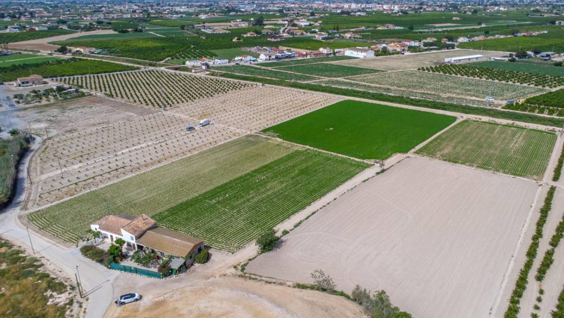 Venta - Country House - Orihuela - Orihuela Centro