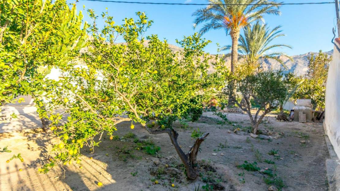 Venta - Country House - Orihuela - Orihuela Centro