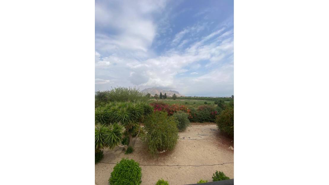 Venta - Country House - Orihuela - Orihuela Centro