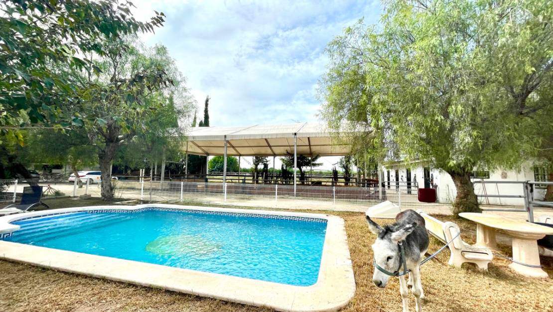 Venta - Country House - Orihuela - Orihuela Centro