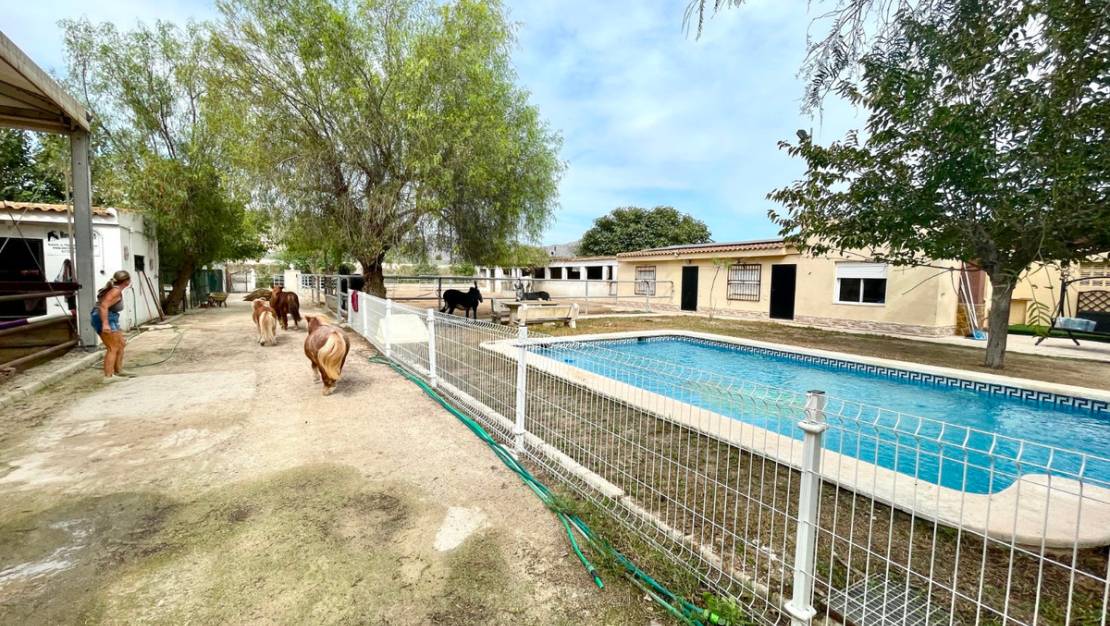 Venta - Country House - Orihuela - Orihuela Centro