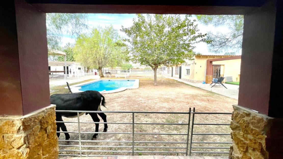 Venta - Country House - Orihuela - Orihuela Centro