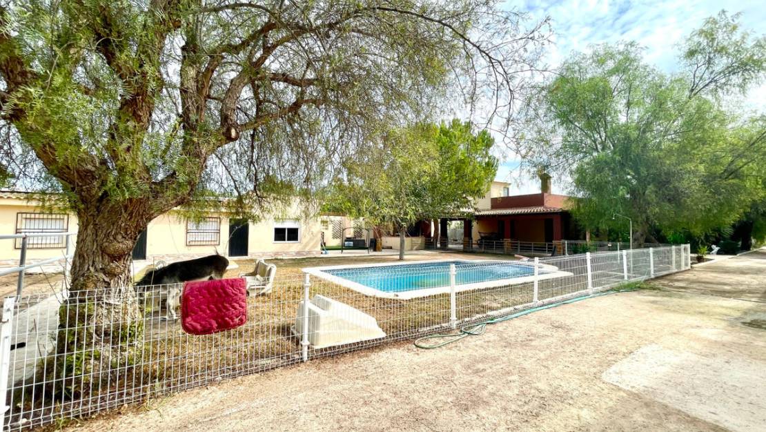 Venta - Country House - Orihuela - Orihuela Centro