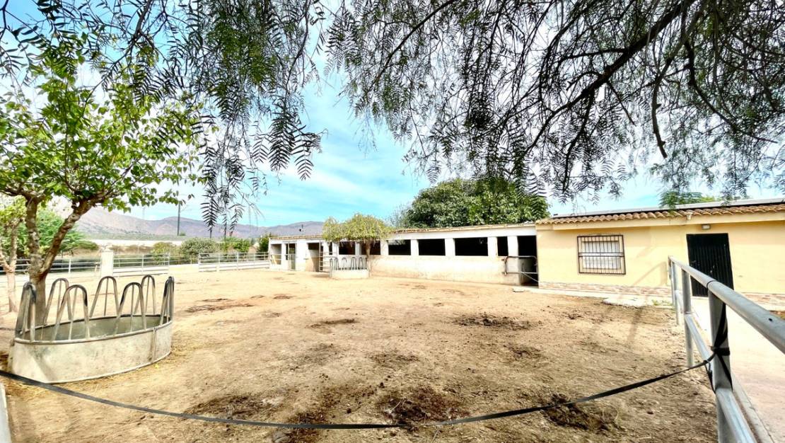 Venta - Country House - Orihuela - Orihuela Centro