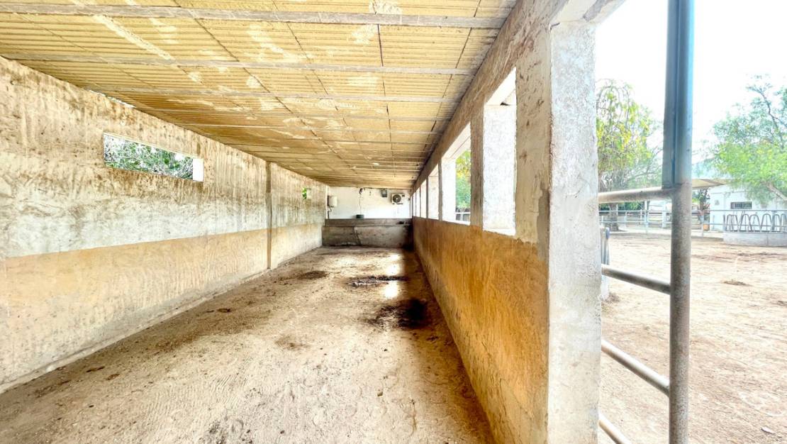 Venta - Country House - Orihuela - Orihuela Centro