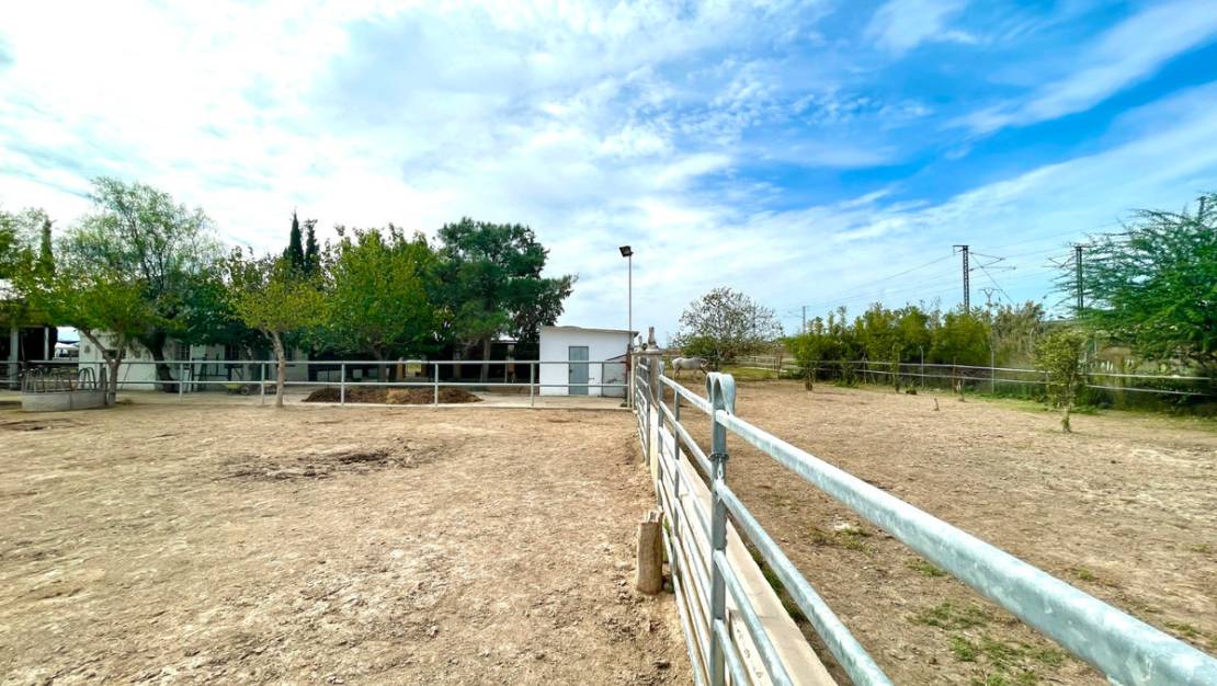 Venta - Country House - Orihuela - Orihuela Centro