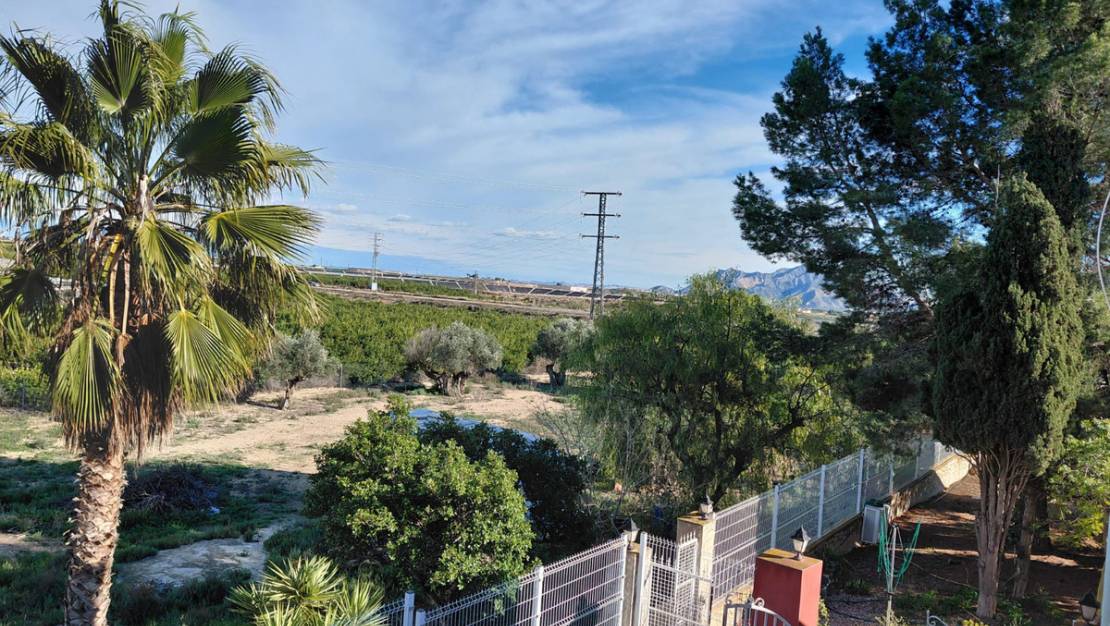 Venta - Country House - Orihuela - Orihuela Centro