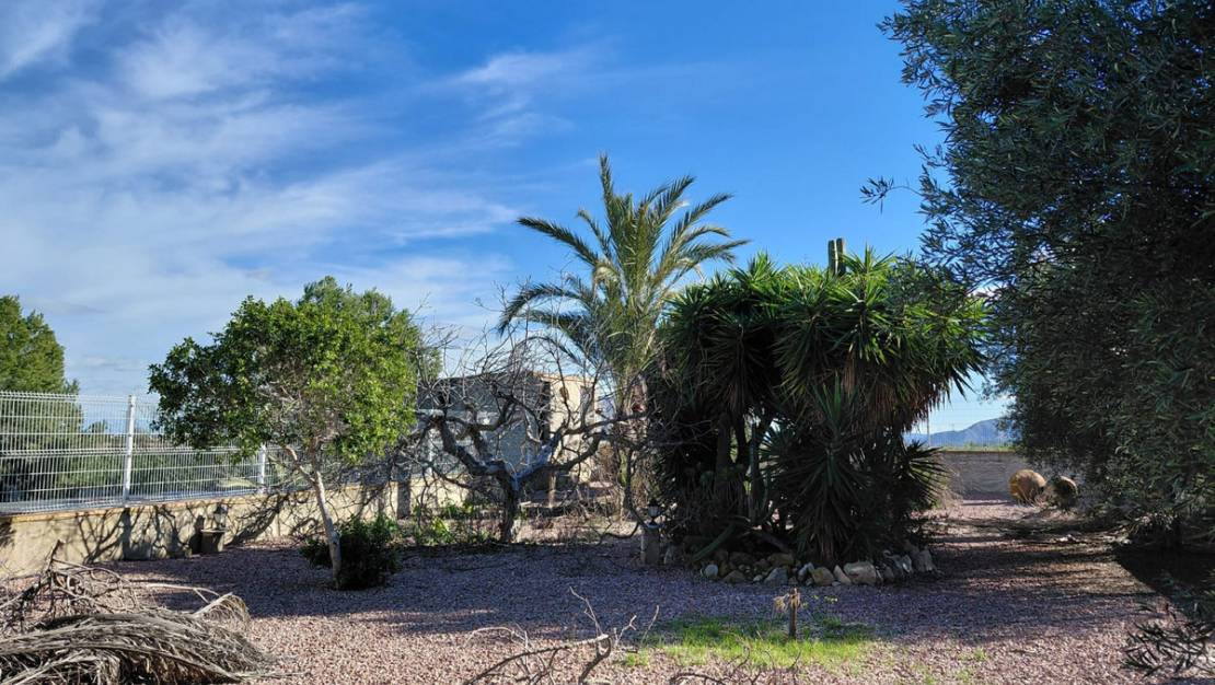 Venta - Country House - Orihuela - Orihuela Centro