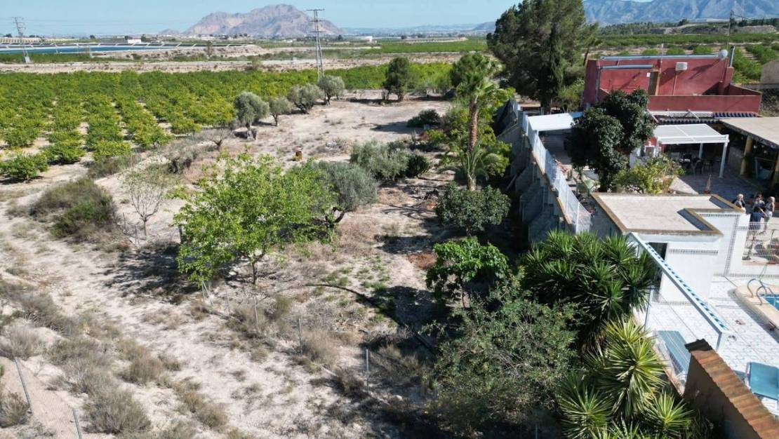 Venta - Country House - Orihuela - Orihuela Centro