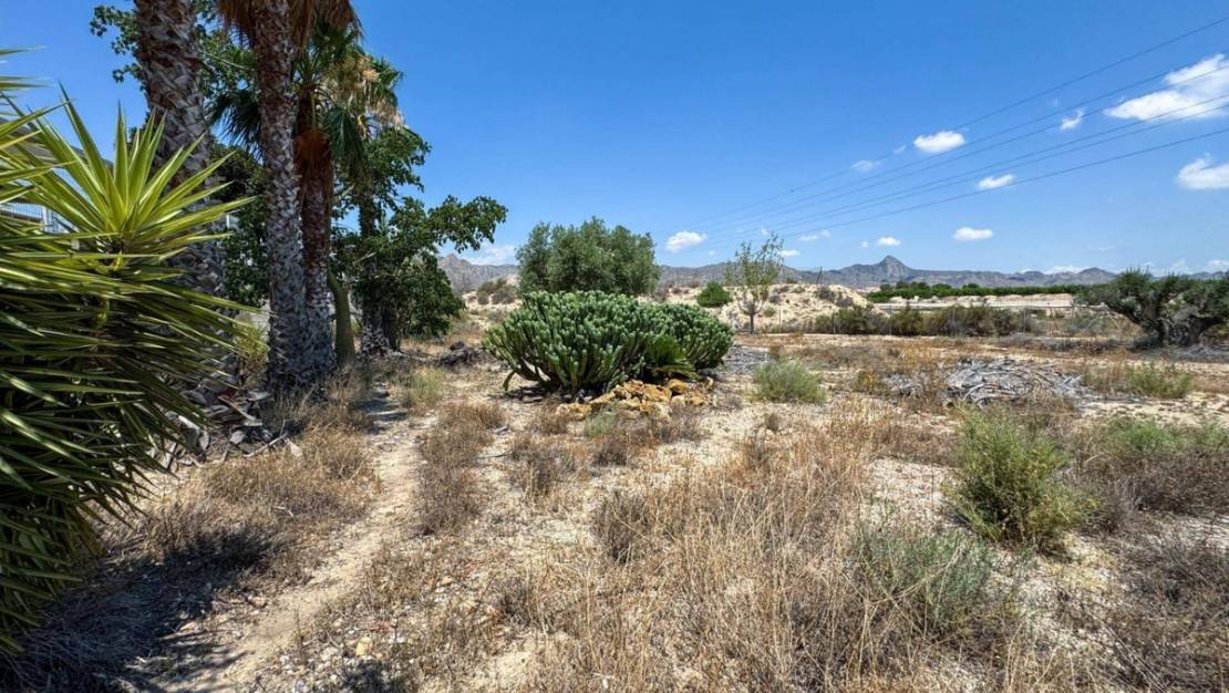 Venta - Country House - Orihuela - Orihuela Centro