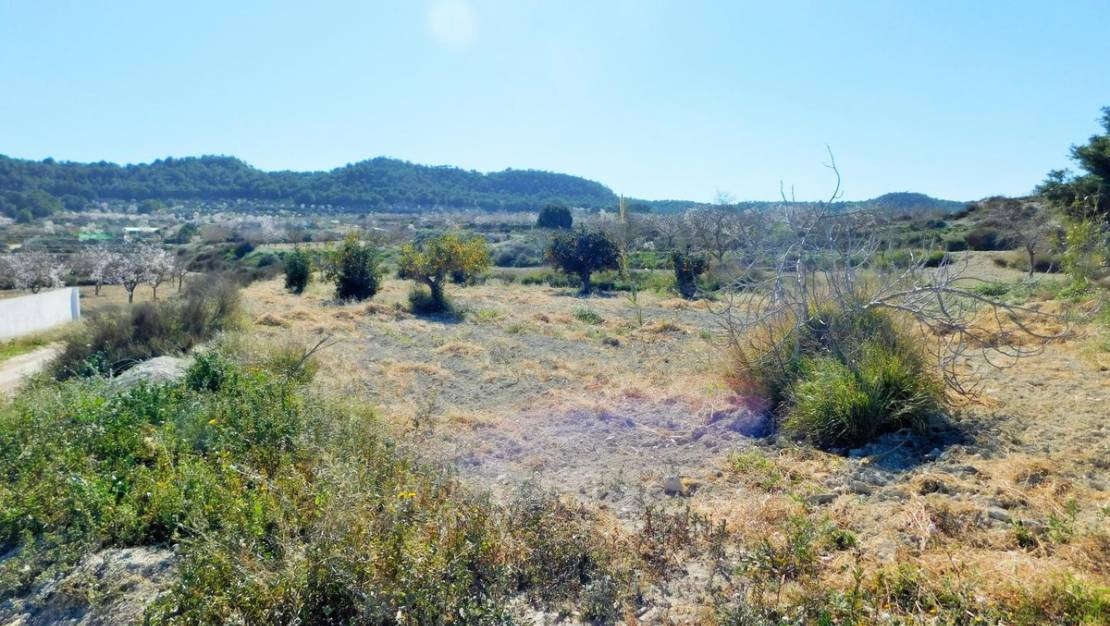 Venta - Country House - Orihuela - Torremendo