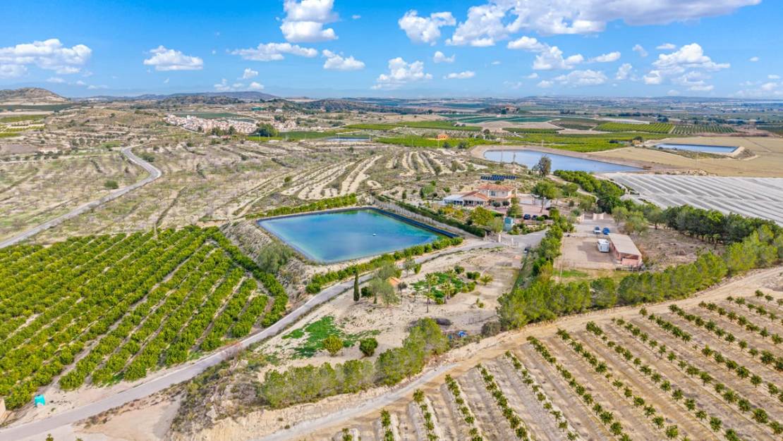 Venta - Country House - Orihuela - Torremendo