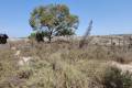 Venta - Country House - Orihuela - Torremendo