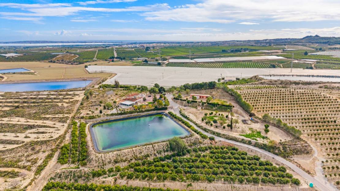 Venta - Country House - Orihuela - Torremendo