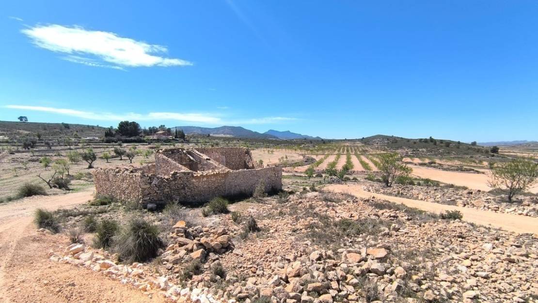 Venta - Country House - Pinoso - Pinoso Centro