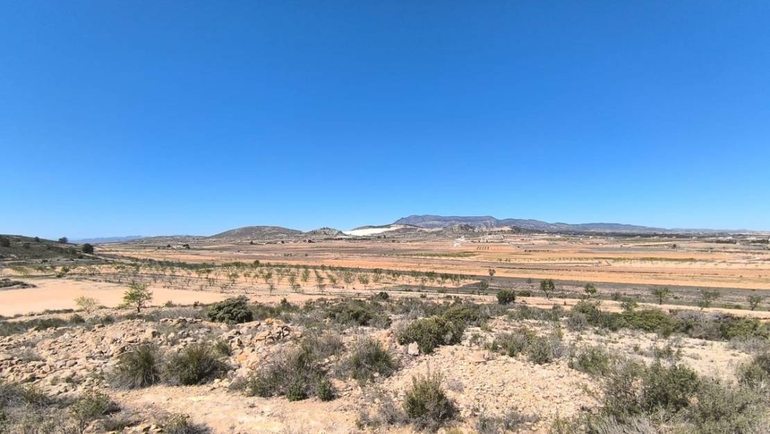 Venta - Country House - Pinoso - Pinoso Centro