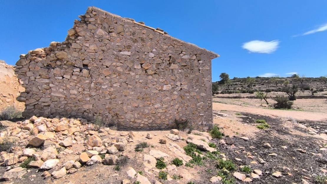 Venta - Country House - Pinoso - Pinoso Centro
