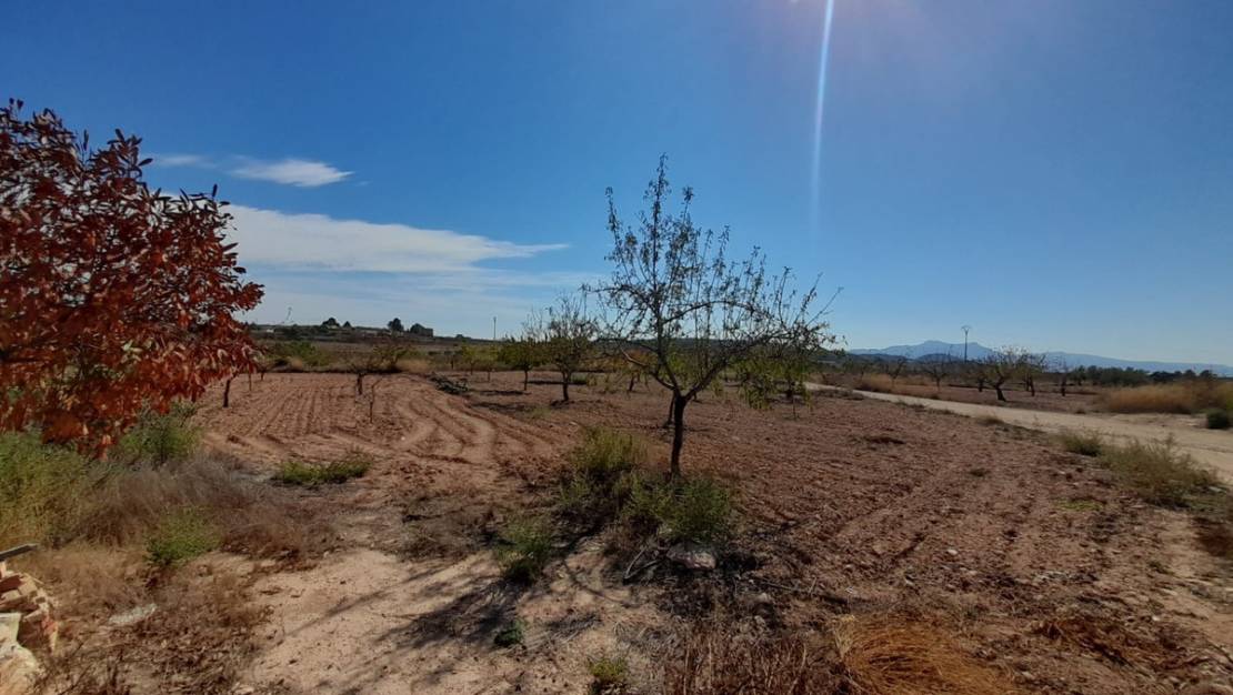 Venta - Country House - Pinoso - Pinoso Centro