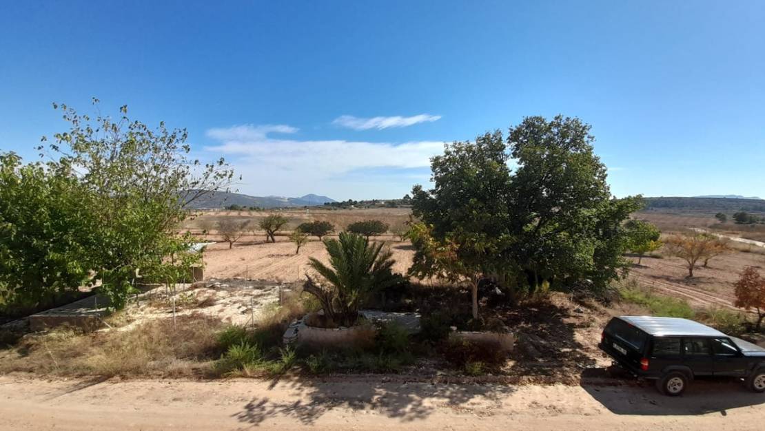 Venta - Country House - Pinoso - Pinoso Centro