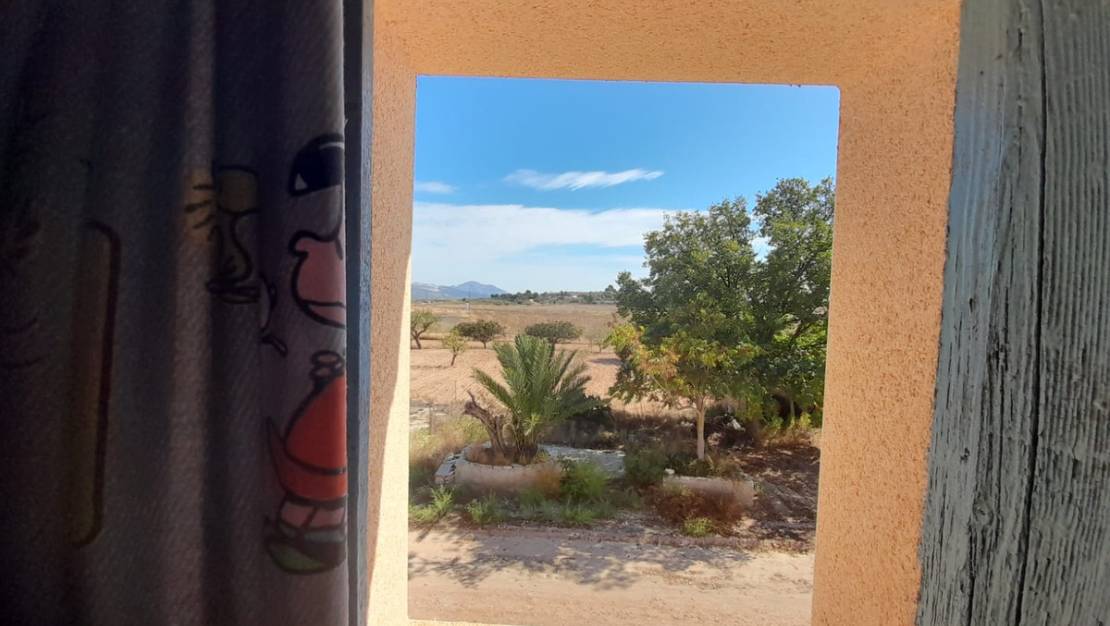 Venta - Country House - Pinoso - Pinoso Centro