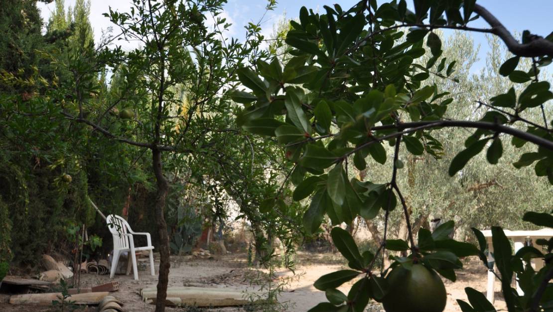 Venta - Country House - Pinoso - Pinoso Centro