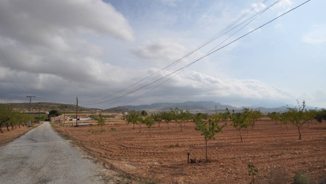 Venta - Country House - Pinoso - Pinoso Centro