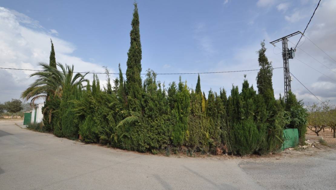 Venta - Country House - Pinoso - Pinoso Centro